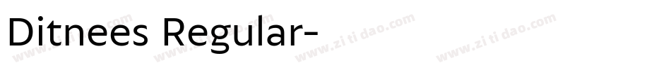 Ditnees Regular字体转换